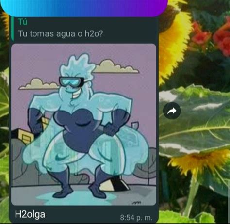 h2olga meme